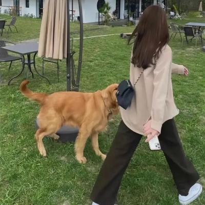 古堡风云